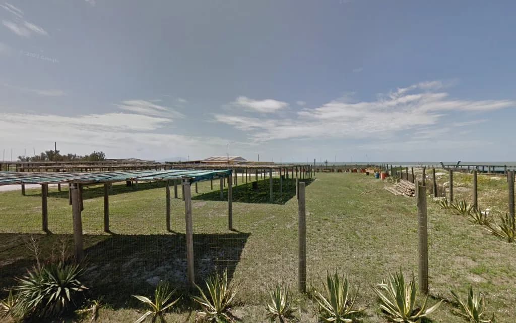 E-LOVE | CONCEPT BEACH CLUB — castel volturno, Campania